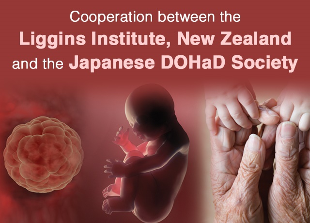 DOHaD - New Zealand and Japan