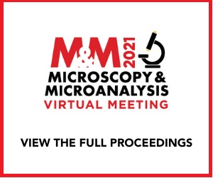 M&M 2021 Proceedings