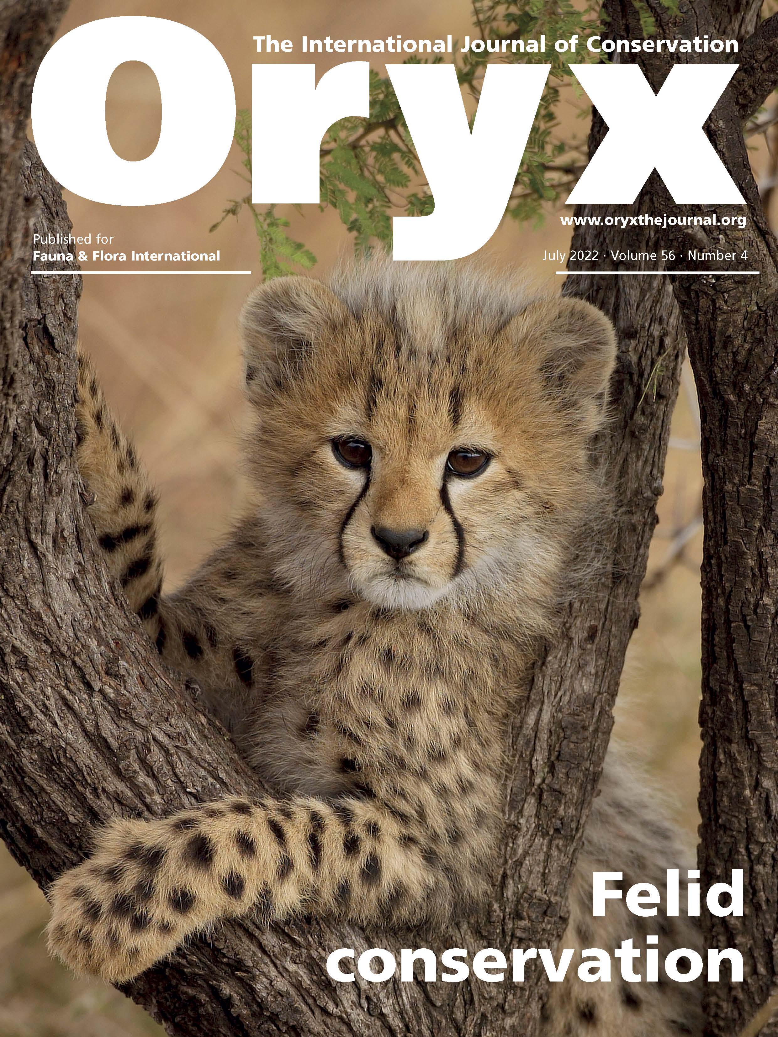cover Jul 22 Felid Conservation