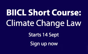 BIICL Intensive Course: Climate Change Law