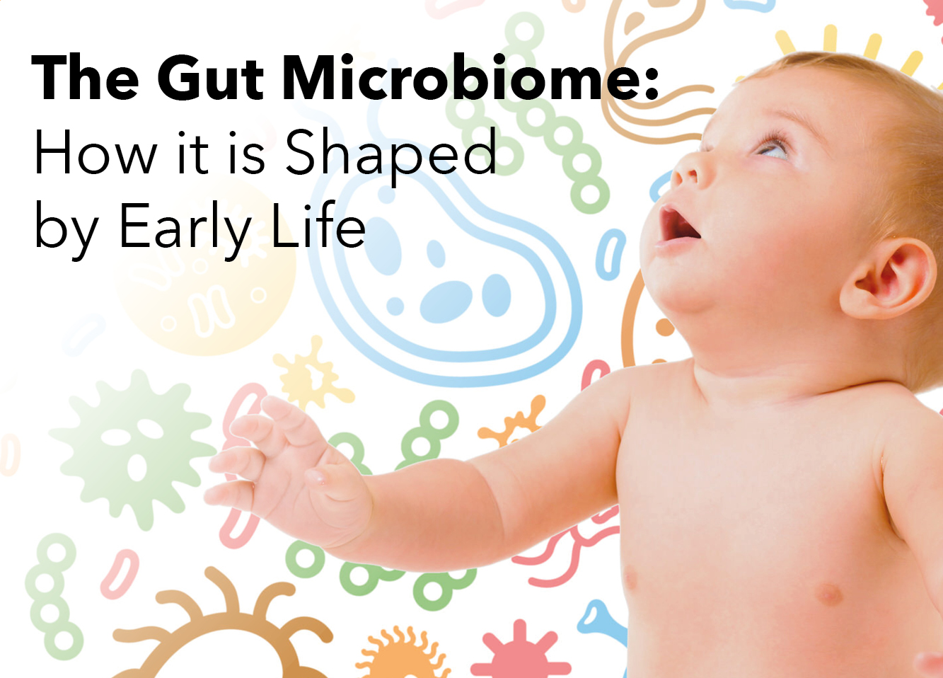 The Gut Microbiome: How it is Shaped by Early Life