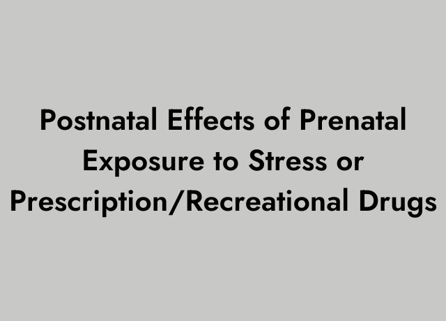 Postnatal Effects of Prenatal Exposure to Stress or Prescription/Recreational Drugs