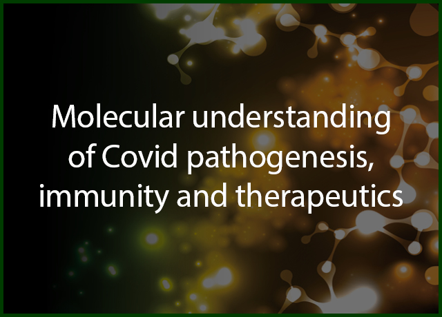 Molecular understanding of Covid pathogenesis, immunity and therapeutics