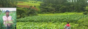 Mind the gap: data solutions for enhanced agricultural productivity in Sub-Saharan Africa