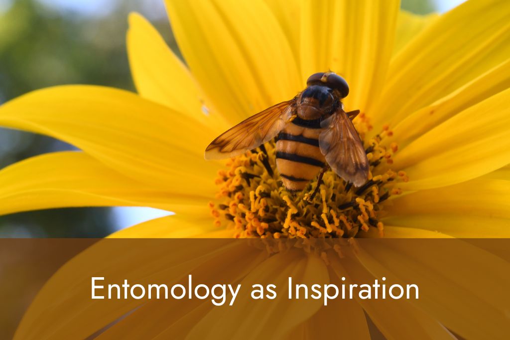 Entomology as Inspiration