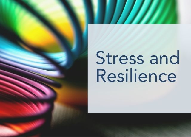 BJPsych Advances Special Issue: Stress and Resilience