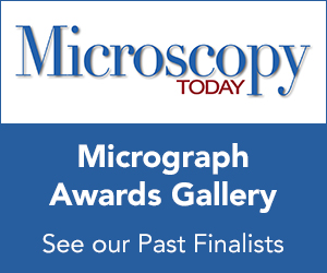 Micrograph Awards Gallery