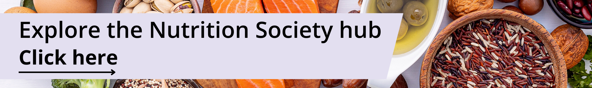 Explore the Nutrition Society Hub Core Banner