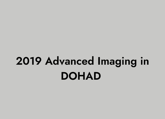 2019 Advanced Imaging in DOHAD
