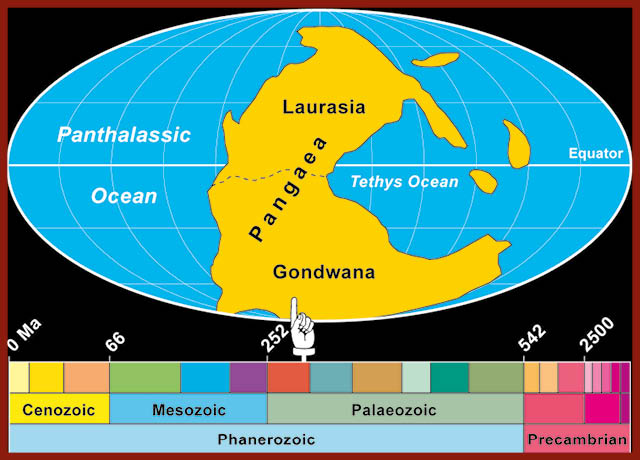 Advances in Palaeogeography