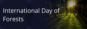 International Day of Forests