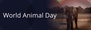 World Animal Day